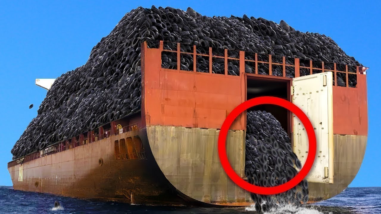 Wrzucili 2 miliony opon do oceanu… 50 lat później stało się TO