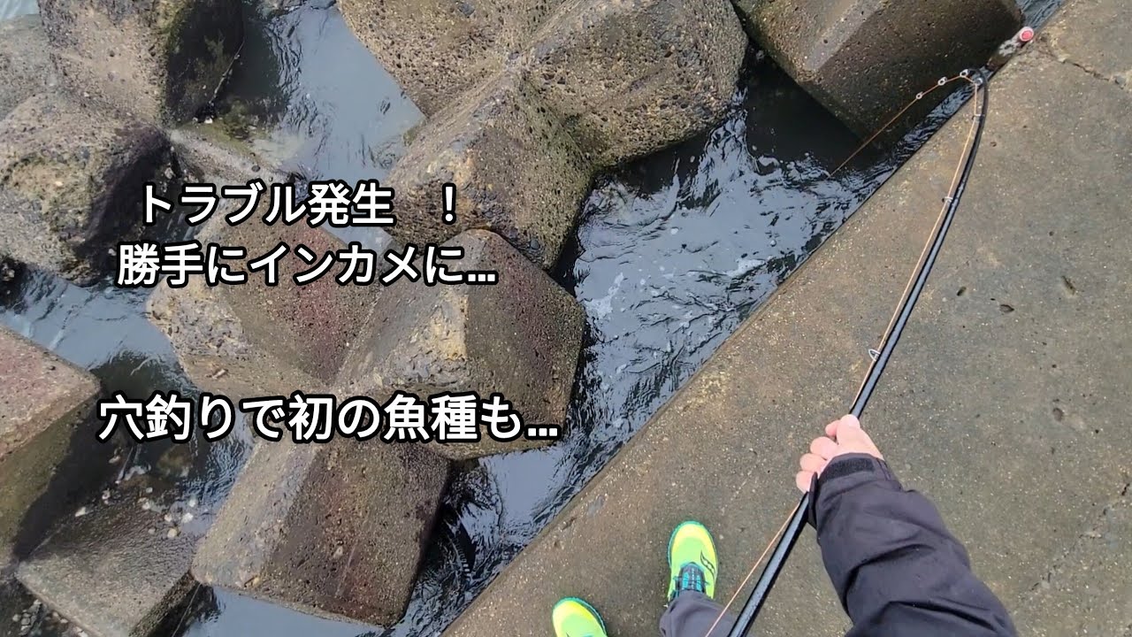 [　日立港第５埠頭　茂宮川河口　][　トラブル発生　！　勝手にインカメに…　]　[　穴釣りで初の魚種　]　狙いはチヌだが…　　#曲/人魚のラテ　
