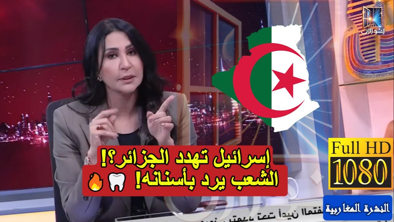 هل تجرؤ إسرائيل على الجزائر؟ مائير مصري يثير السخرية 🔥🇩🇿 بجودة خرافية HD | النشرة المغاربية