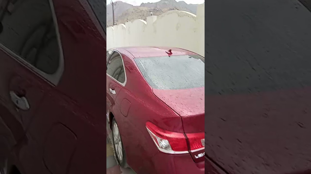 ٢١ أكتوبر ٢٠٢٤