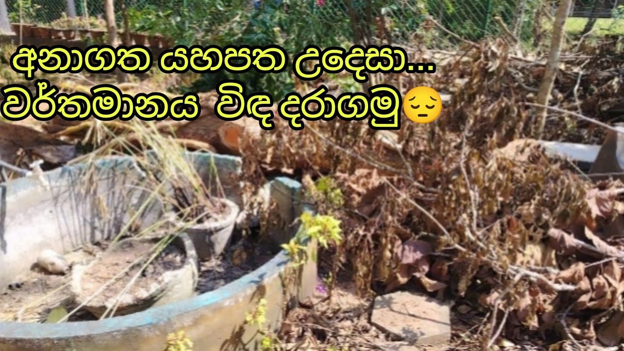 අනාගත යහපත උදෙසා... අත්‍යවශ්‍යම දේට මුල් තැන දෙමු