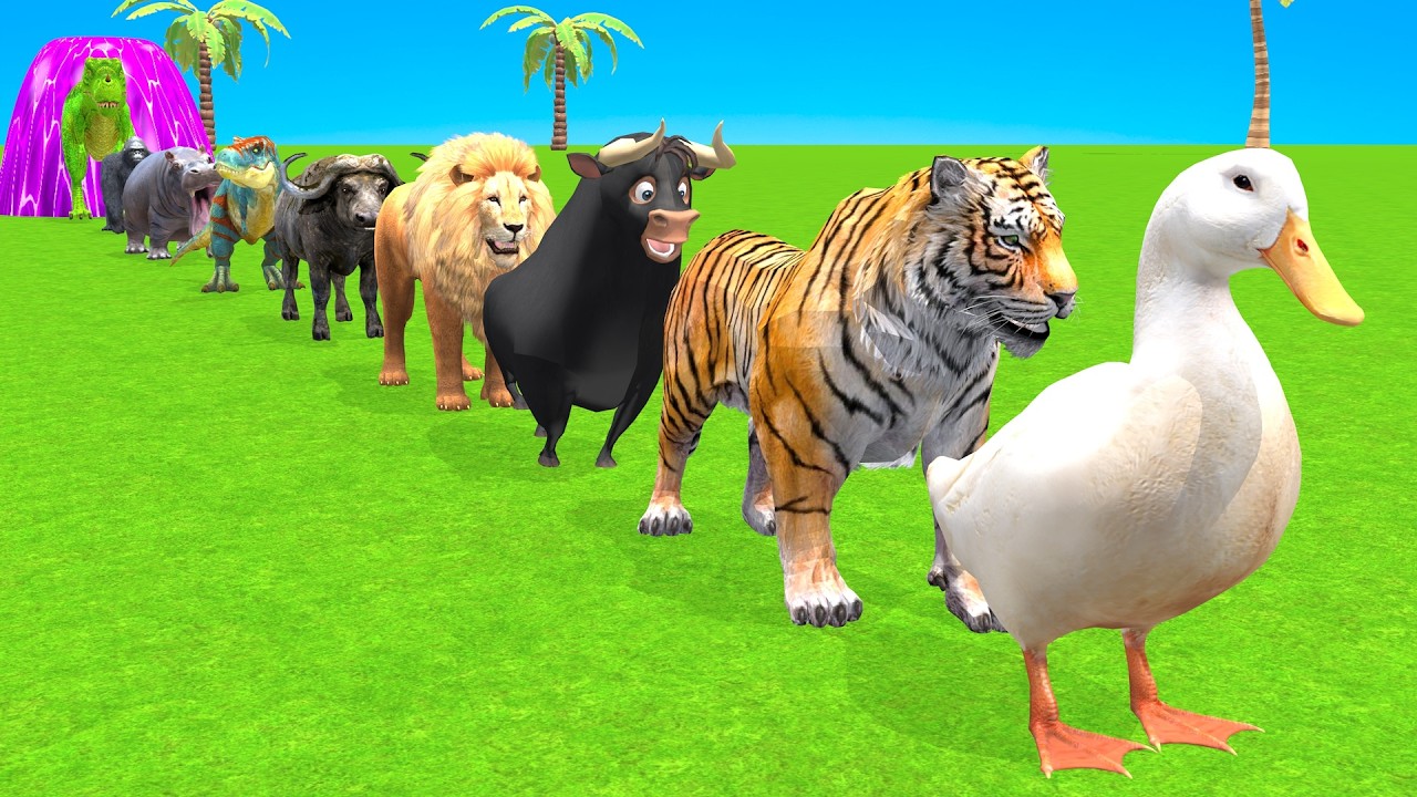 New Long Slide Game With Cow Elephant Gorilla Hippopotamus Tiger 3dAnimal Game Funny 3d Animals