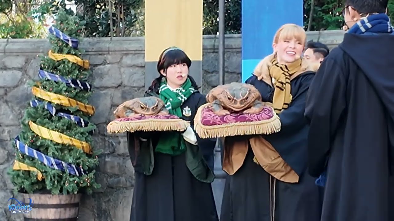Universal Studios Hollywood Christmas At Hogsmeade vlog 2025