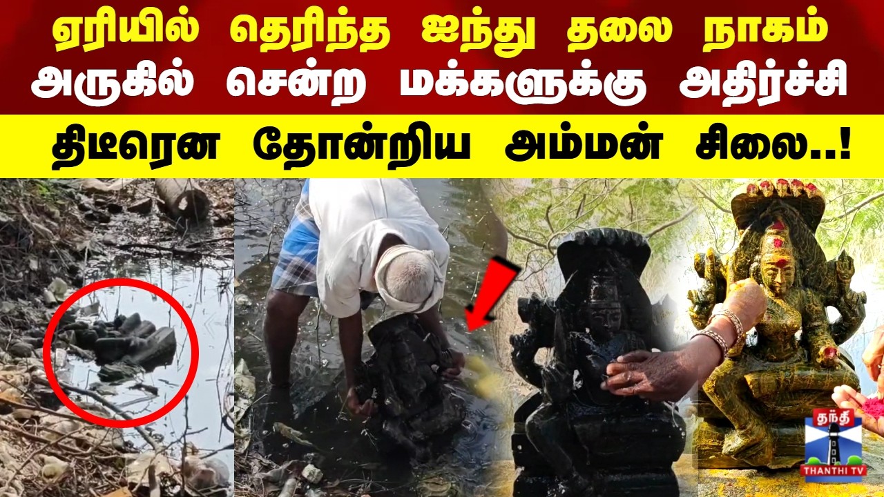 Amman Silai | ஏரியில் தெரிந்த ஐந்து தலை நாகம் அருகில் சென்ற மக்களுக்கு அதிர்ச்சி