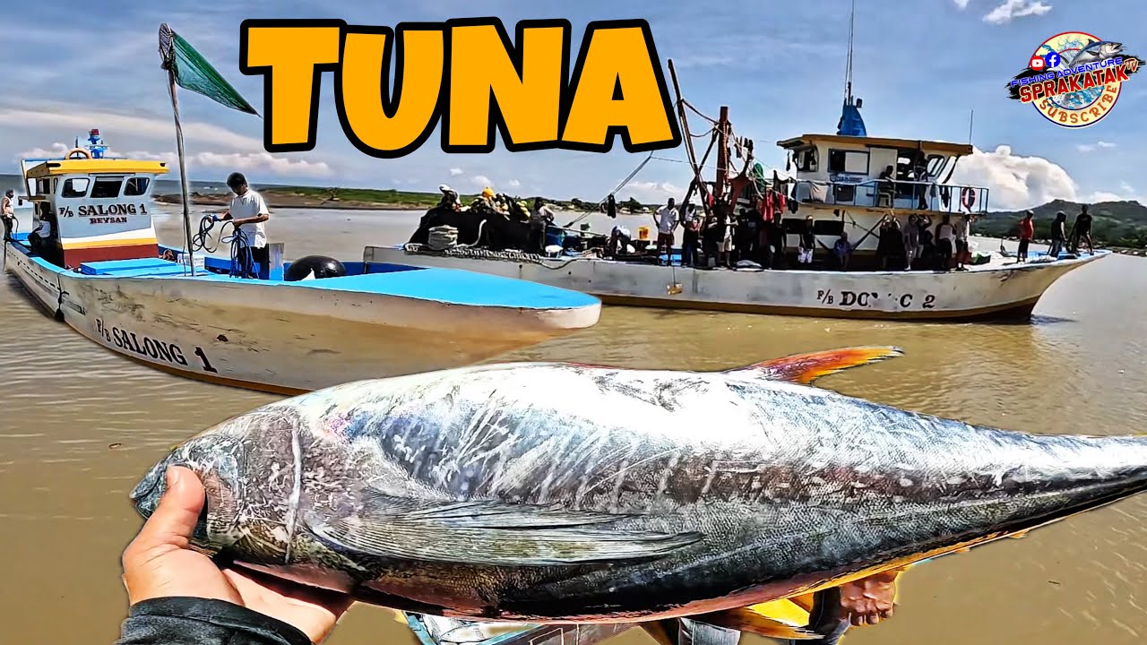PUNO NA NAMAN NG ISDA ANG FISH CARRIER