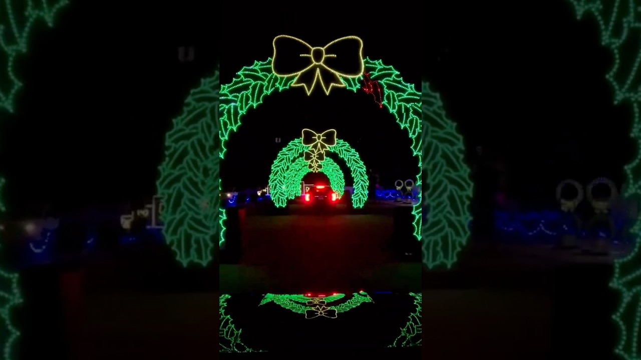 Лучший световой тур по Хьюстону — THE LIGHT PARK в Hurricane Harbor.