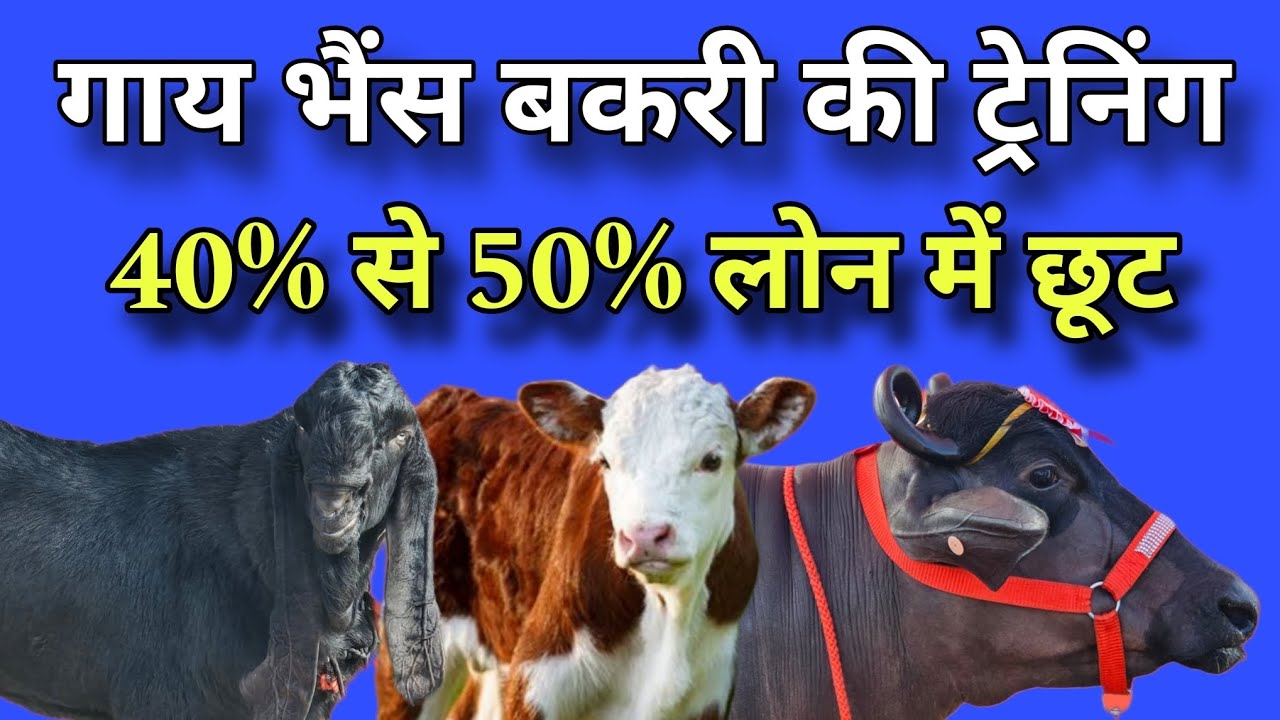 गाय भैंस बकरी की ट्रेनिंग | सरकार से लोन लें | Artificial insemination training | punjab | Haryana