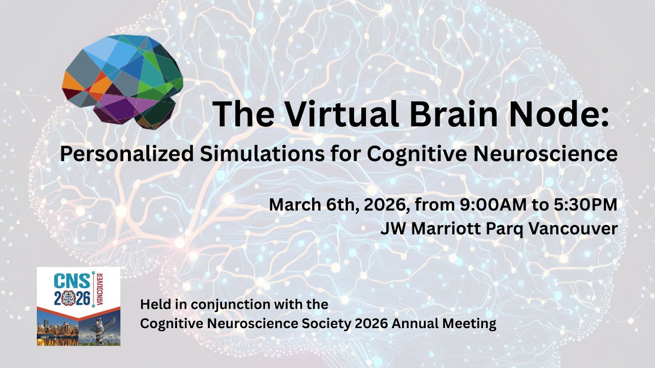 1 - A (nearly) math-free primer on large-scale modelling in TheVirtualBrain