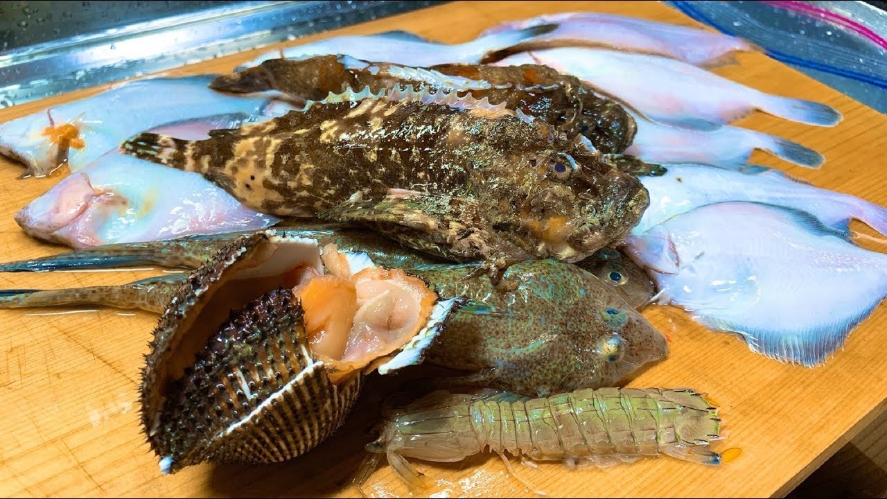 小さ過ぎたり殻が割れてたり売れない魚で酒を飲む！