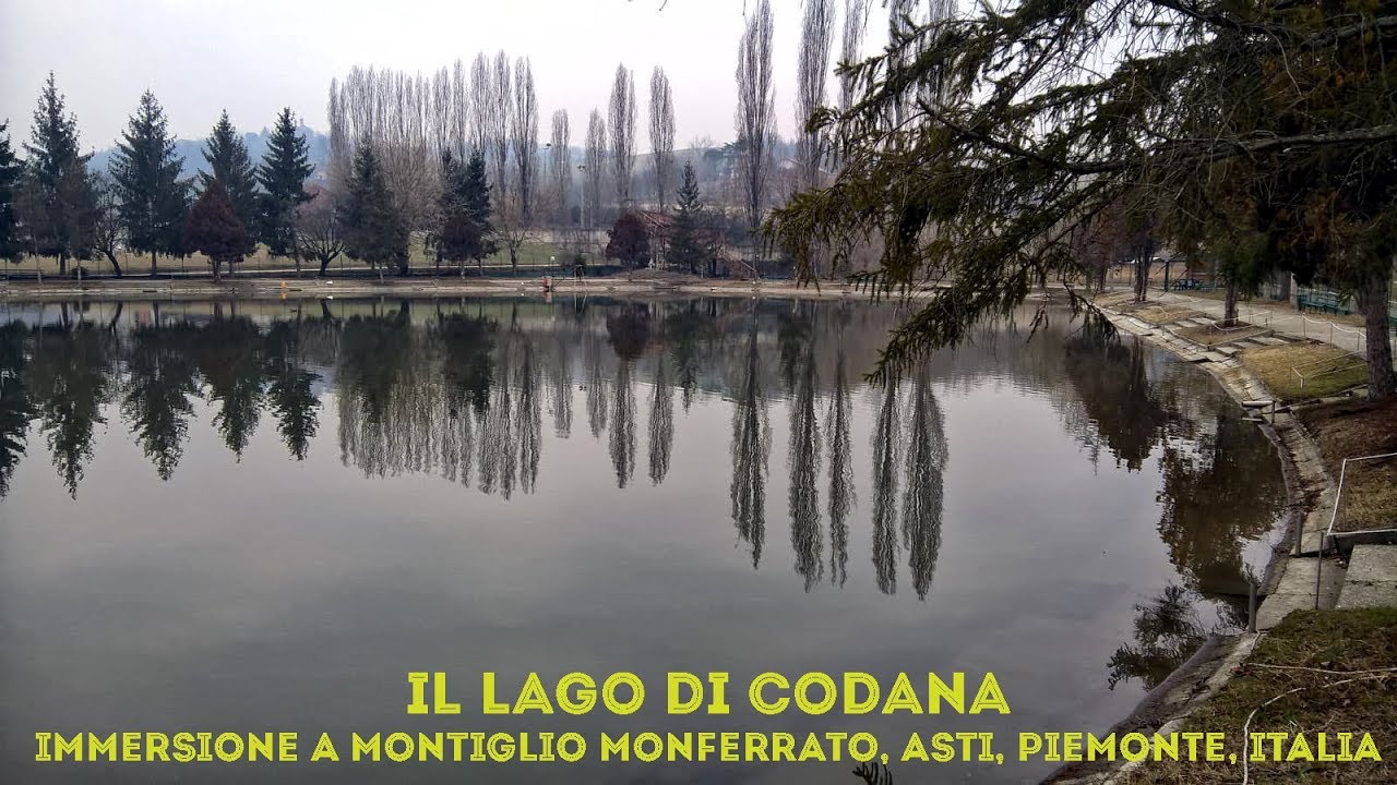 Il lago di Codana - Immersione a Montiglio Monferrato, Asti, Piemonte, Italia