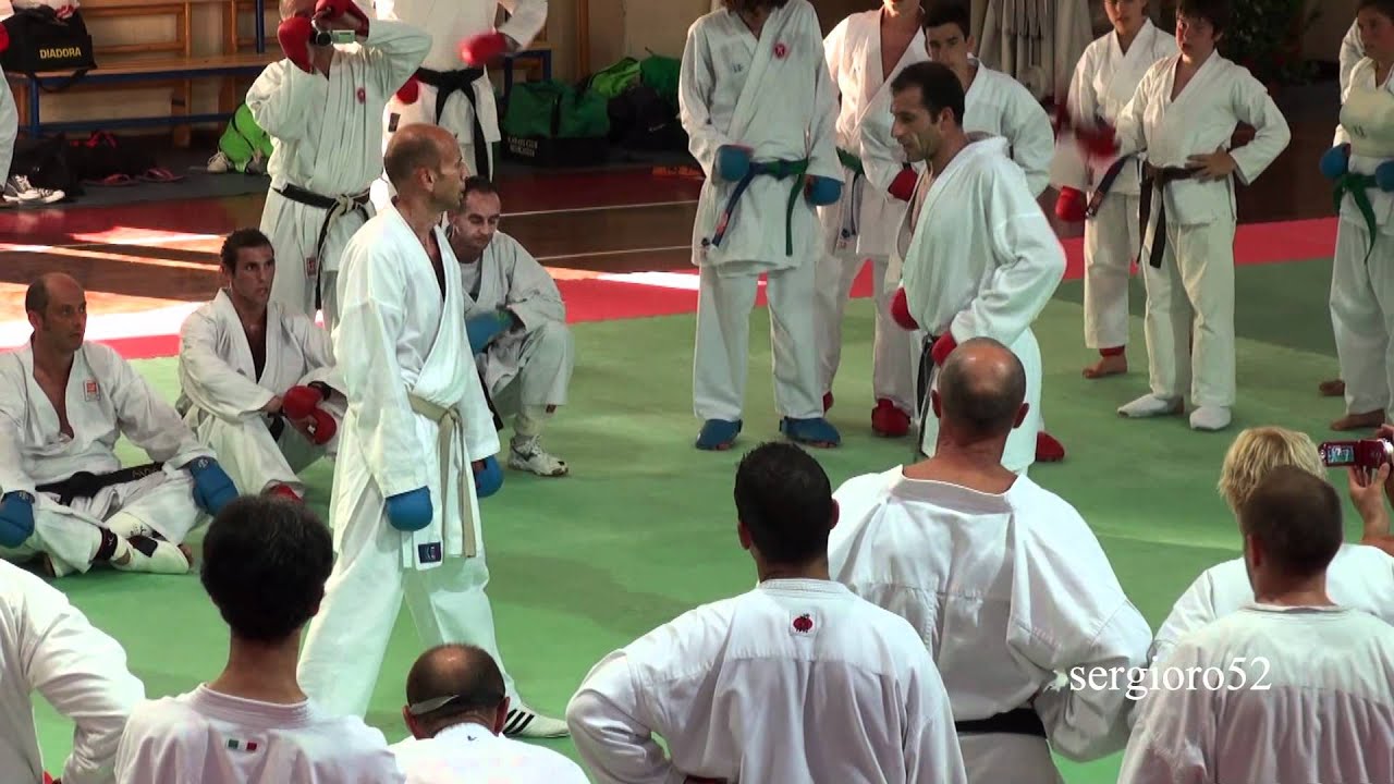 Christophe PINNA-Kumite Seminar-2010-part 1 of 4 (HD)