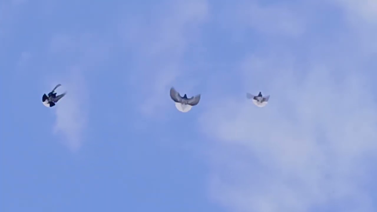 кому интересно можу продать