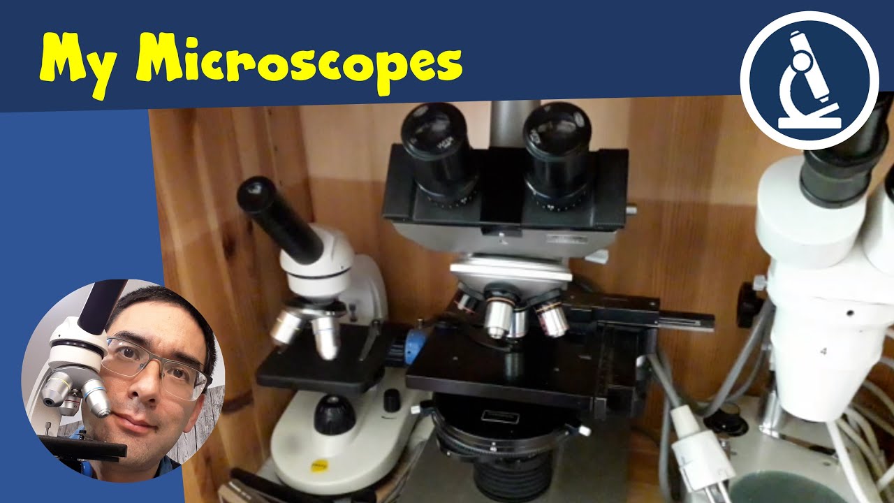 🔬 I show you my microscopes and give you a look behind the scenes | Amateur Microscopy