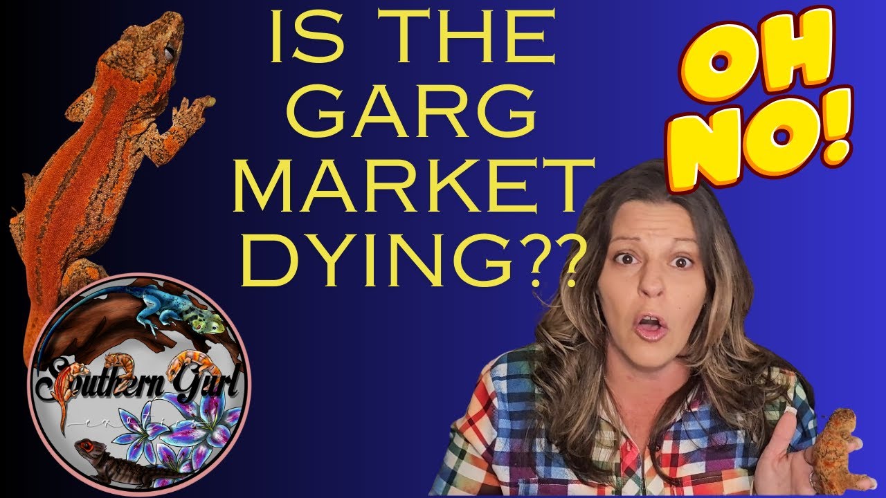 Is The Gargoyle Gecko Market Dying??