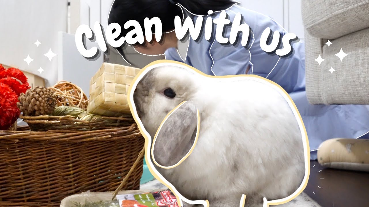 My Bunny Room Cleaning Routine | Clean with me 🐰✨
