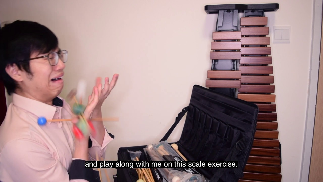 Adams Academy Xylophone - Why you need this at home!
