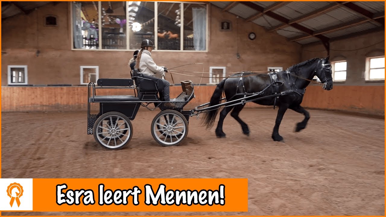 Mennen met Esra en Benthe-Sophie | PaardenpraatTV