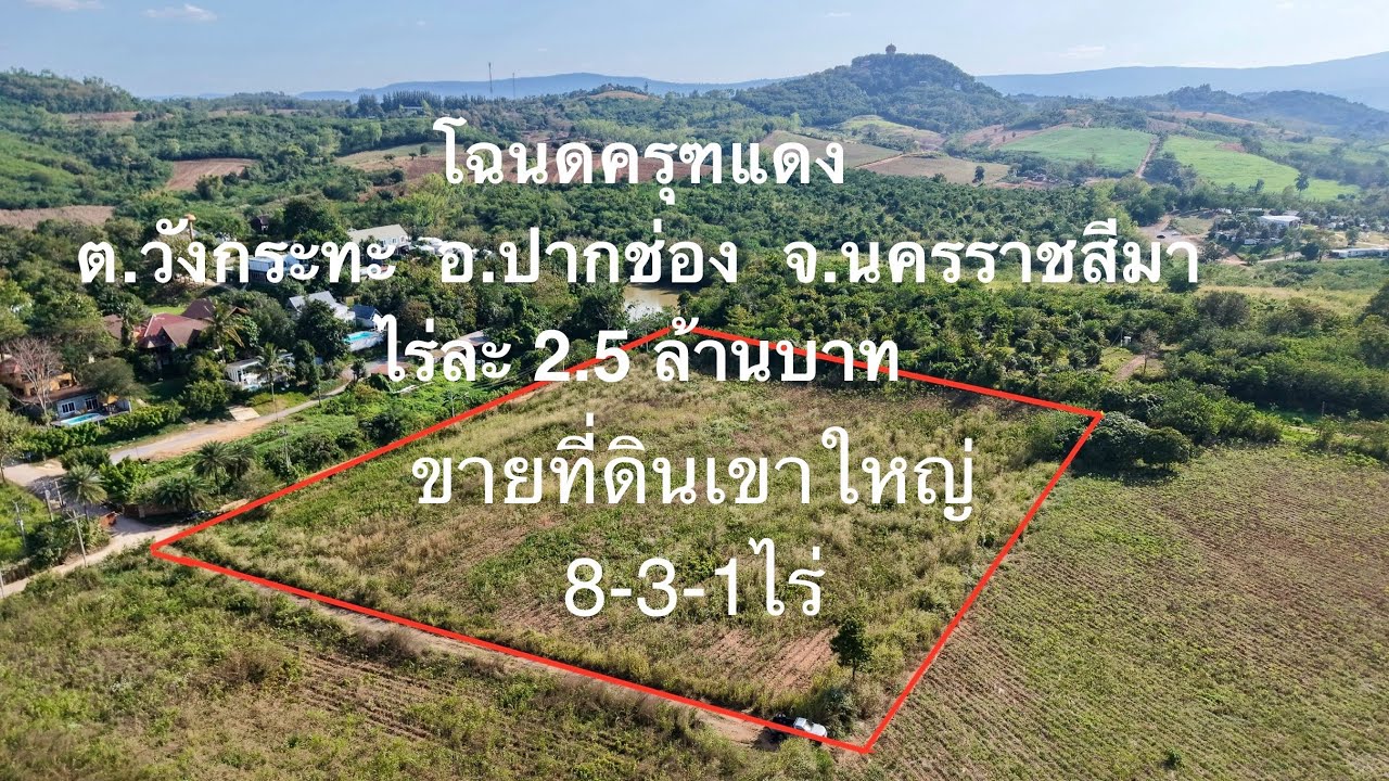 ขายที่ดินเขาใหญ่ ต.วังกระทะ อ.ปากช่อง จ.นครราชสีมา โฉนด 8 ไร่เศษ