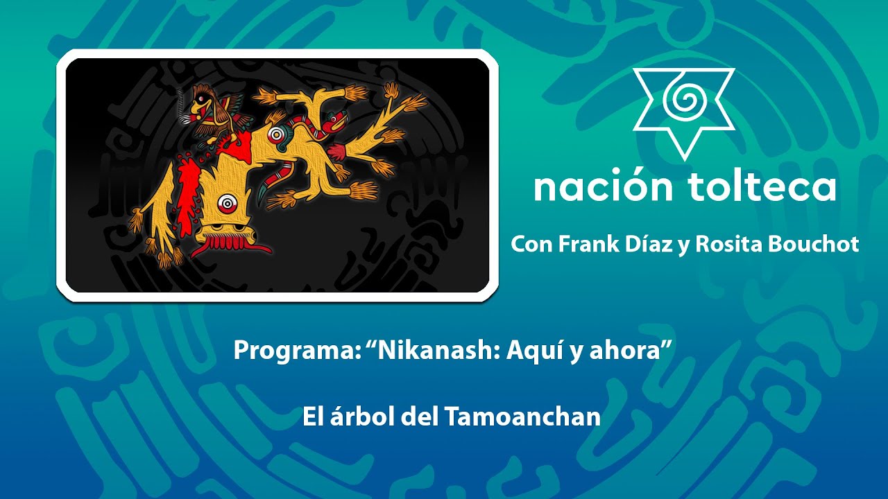 Programa 29: 