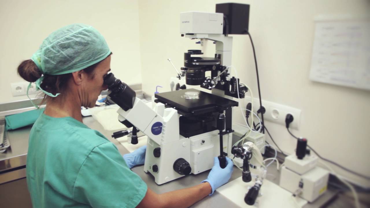 What is #immunotherapy for #cancer and how does it work? By Dr. Cortes-Funes, HC #Marbella