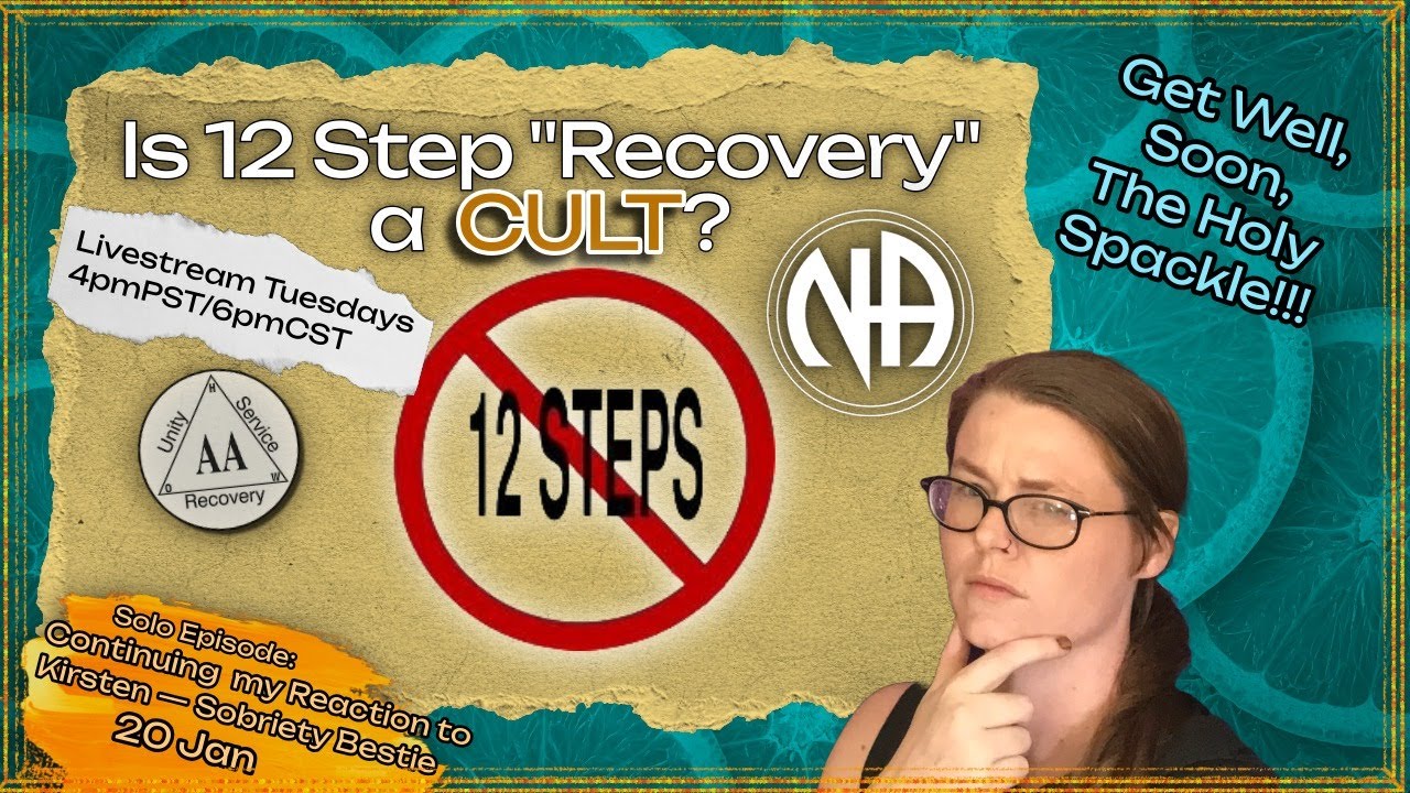 Is AA a cult? (Bonus Episode B) Reacting to @SobrietyBestie 's interview w/ @FromRecoverytoDiscovery