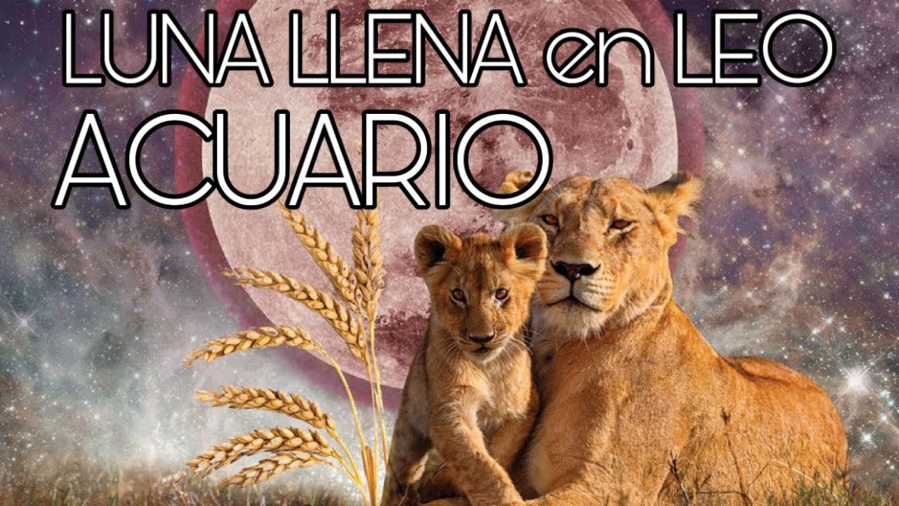 ACUARIO ♒️ LUNA LLENA EN LEO 1-2-2026…CALORCITO EN TU CORAZÓN!!!…♒️🧡♒️