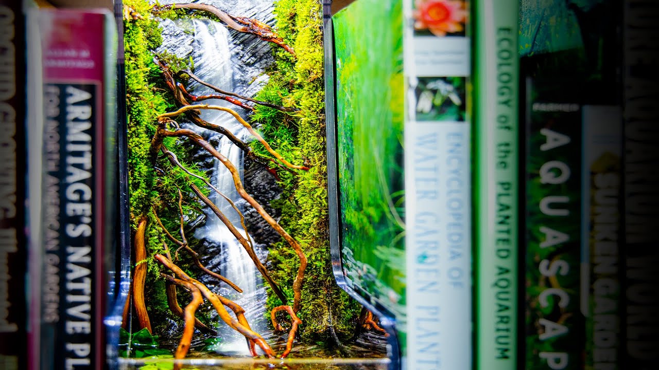 DIY Flowing Waterfalls Moss Book Nook (Living Library)