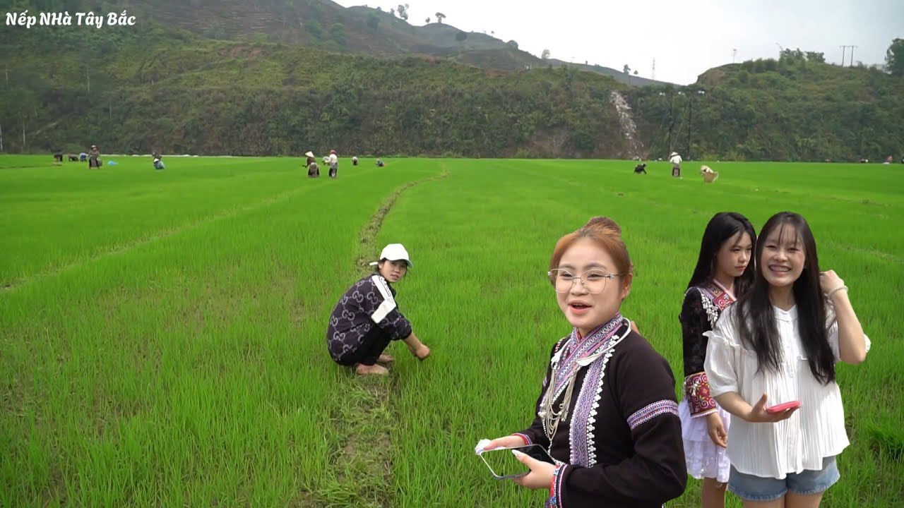 Cô Gái Lào Xinh Như Hoa Núi Sau Tết Ra Ruộng/Nếp Nhà Tây Bắc