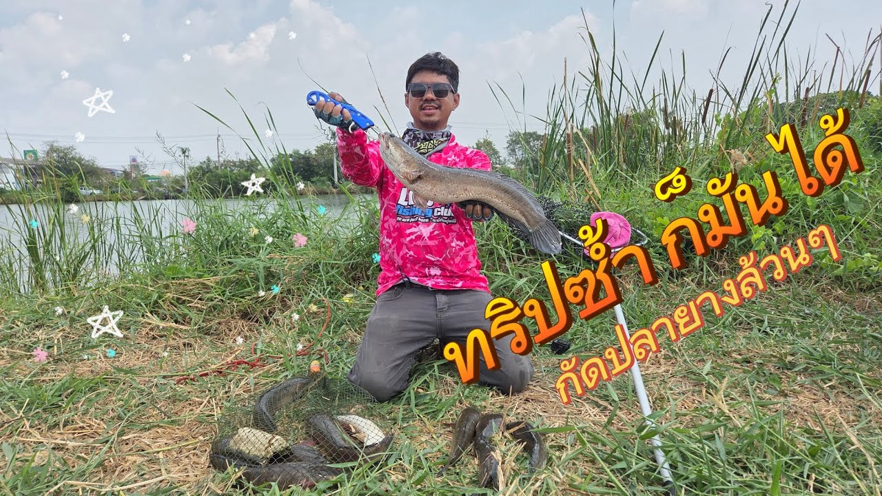 ทริปซ้ำครึ่งวันก็มันได้  ตกปลาช่อนซอยแพรกษา | Birdplabin