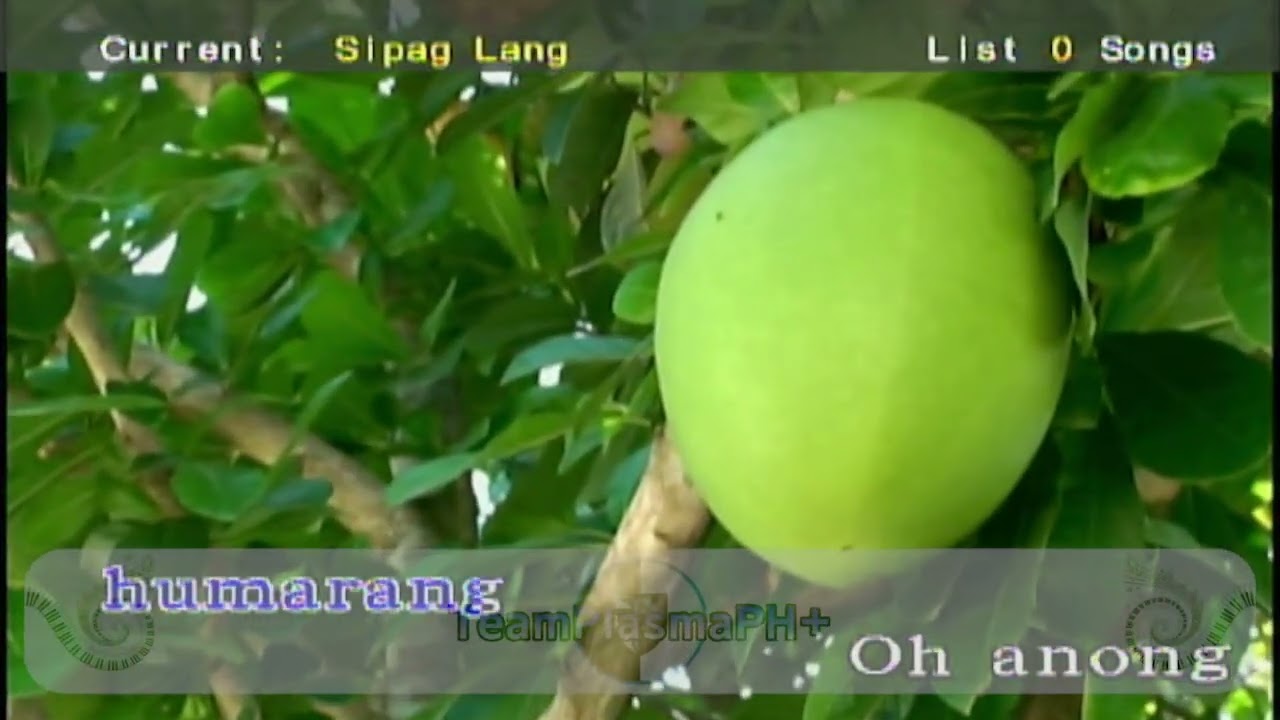Sipag Lang - Nik Makino (Karaoke)