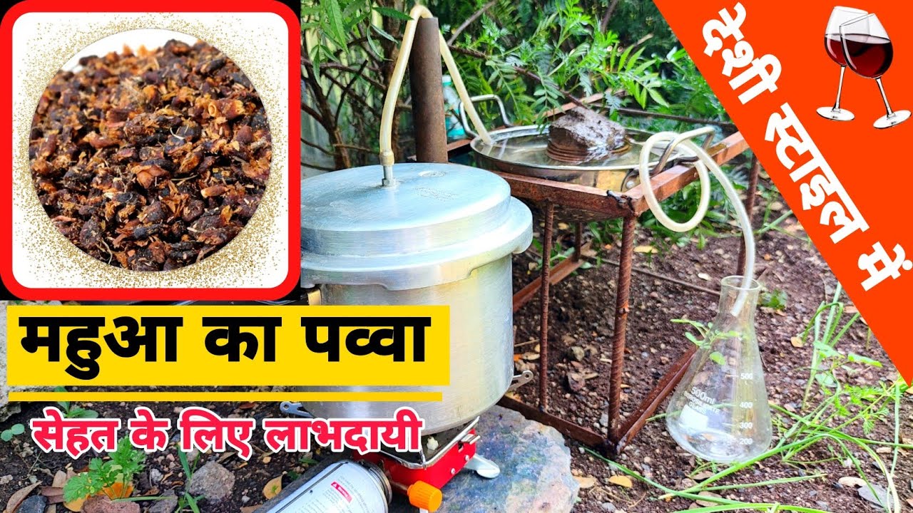 महुआ की देशी शराब बनाना सिखिये गांव की अंदाज़ में Learn How To Make Mahua Drinks In Village Style