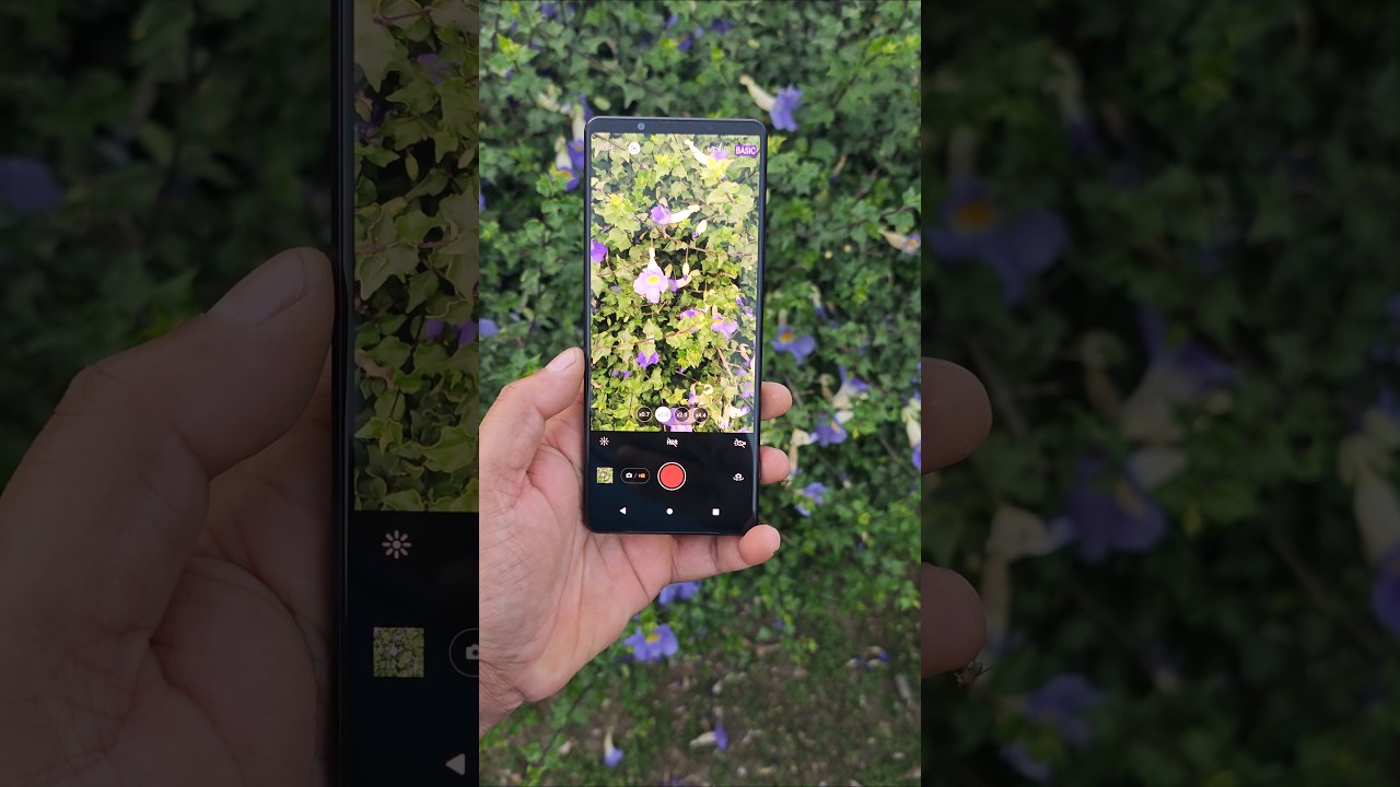 Sony Xperia 1 iii camera test #trending #shorts