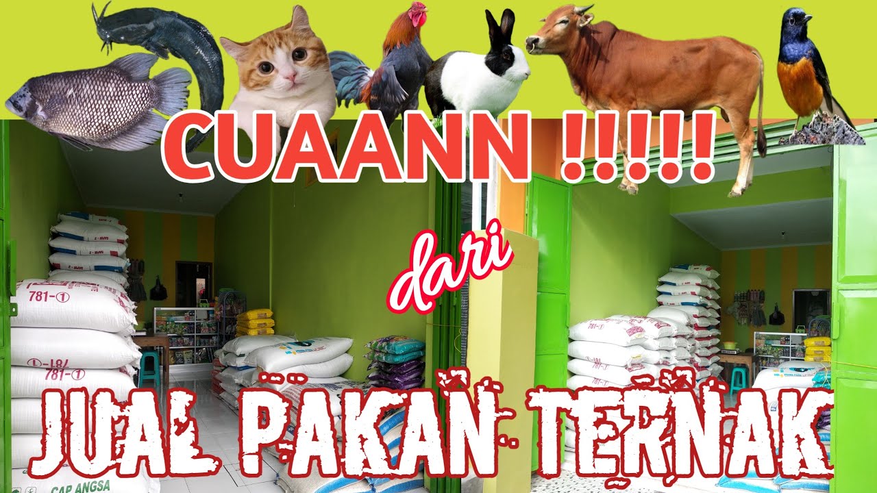 Peluang Usaha : TOKO PAKAN TERNAK 