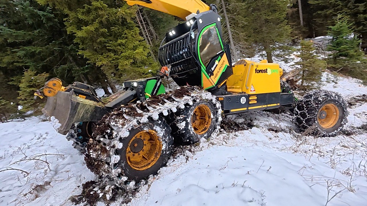 🌲 powercutting 🌲 forest peg - Husky 564 XP [ 4 : # ]