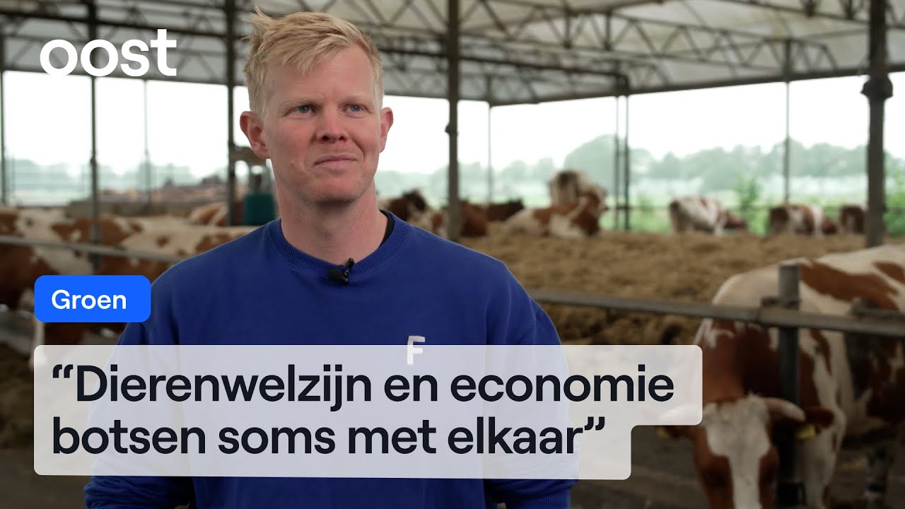 Dierwaardige veehouderij: deze drie boeren doen mee aan onderzoek | RTV Oost