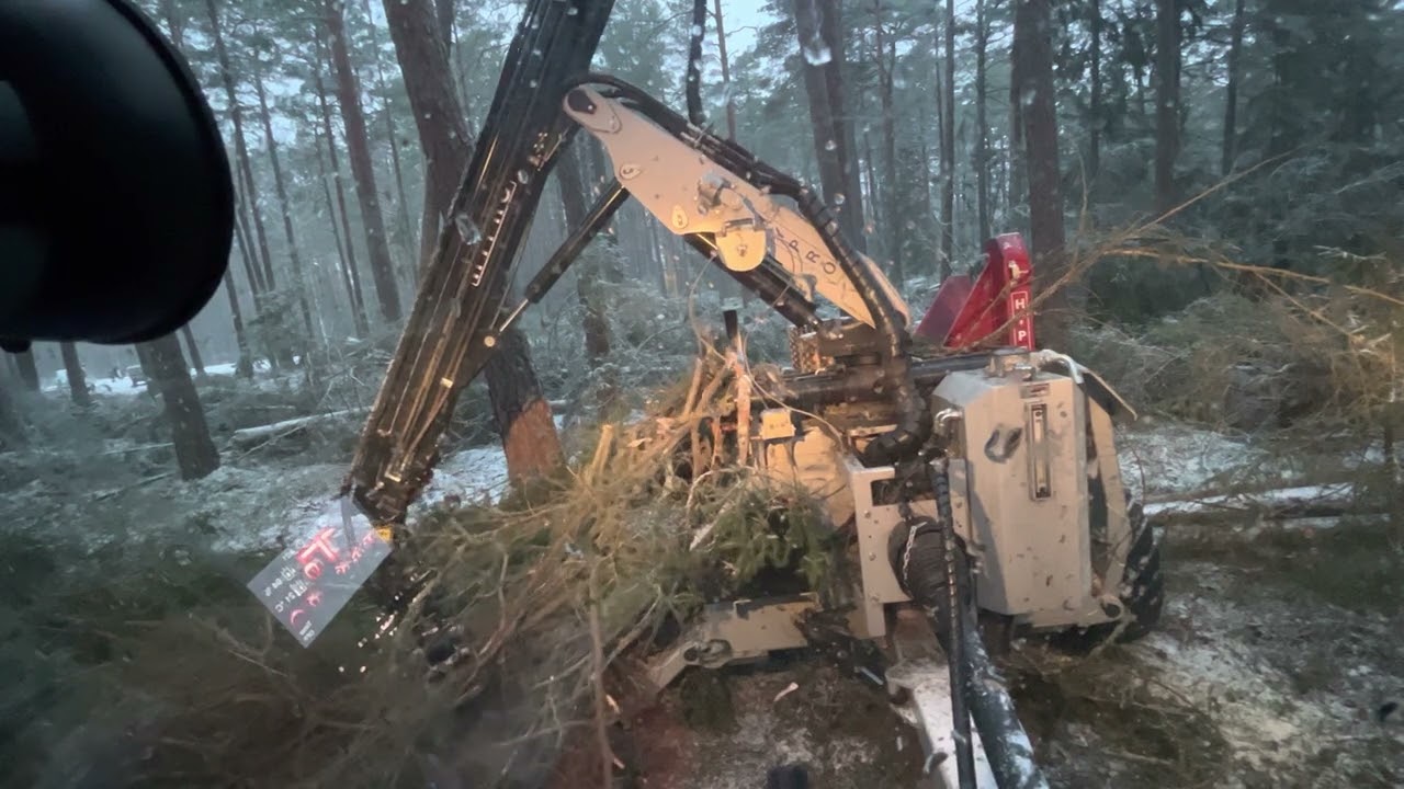 Hypro bekämpar Granbarkborre