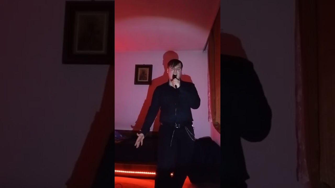 Би-2 сердце #вокал