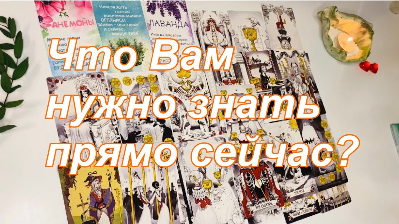 🌷Что Вам нужно знать прямо сейчас? 🌿💞