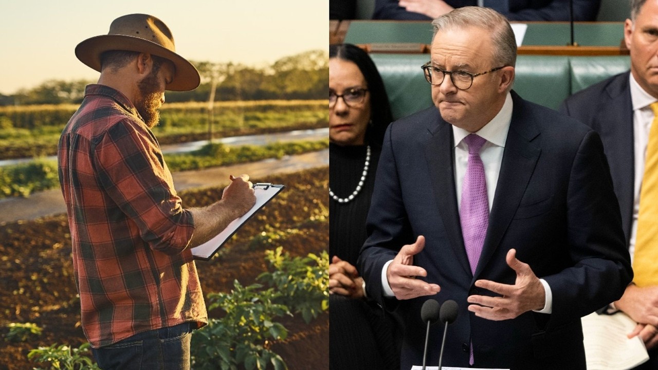 &lsquo;Biggest federal takeover&rsquo;: Labor&rsquo;s &lsquo;massive&rsquo; farming land takeover will hurt farmers