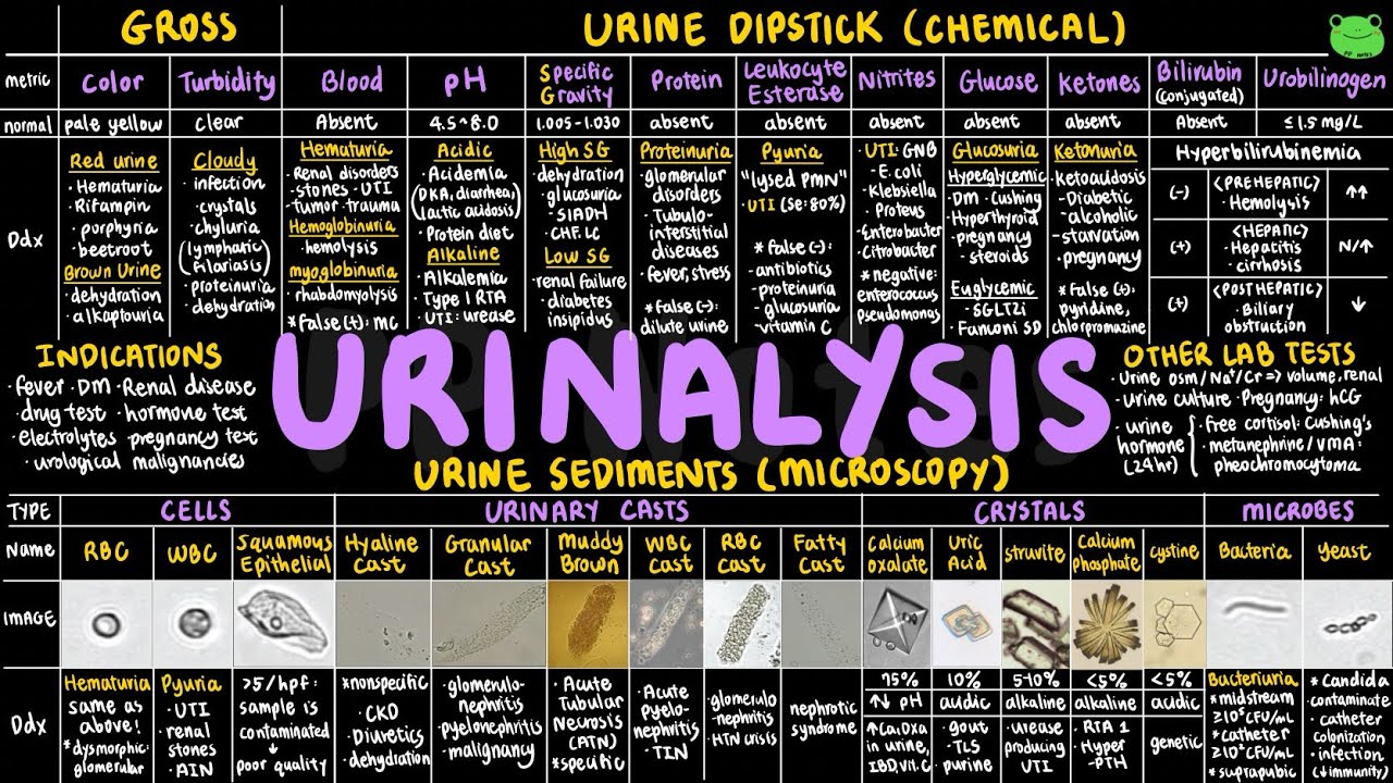 Urinalysis | Clinical Skills 05 | Clinical Essentials | PPNotes