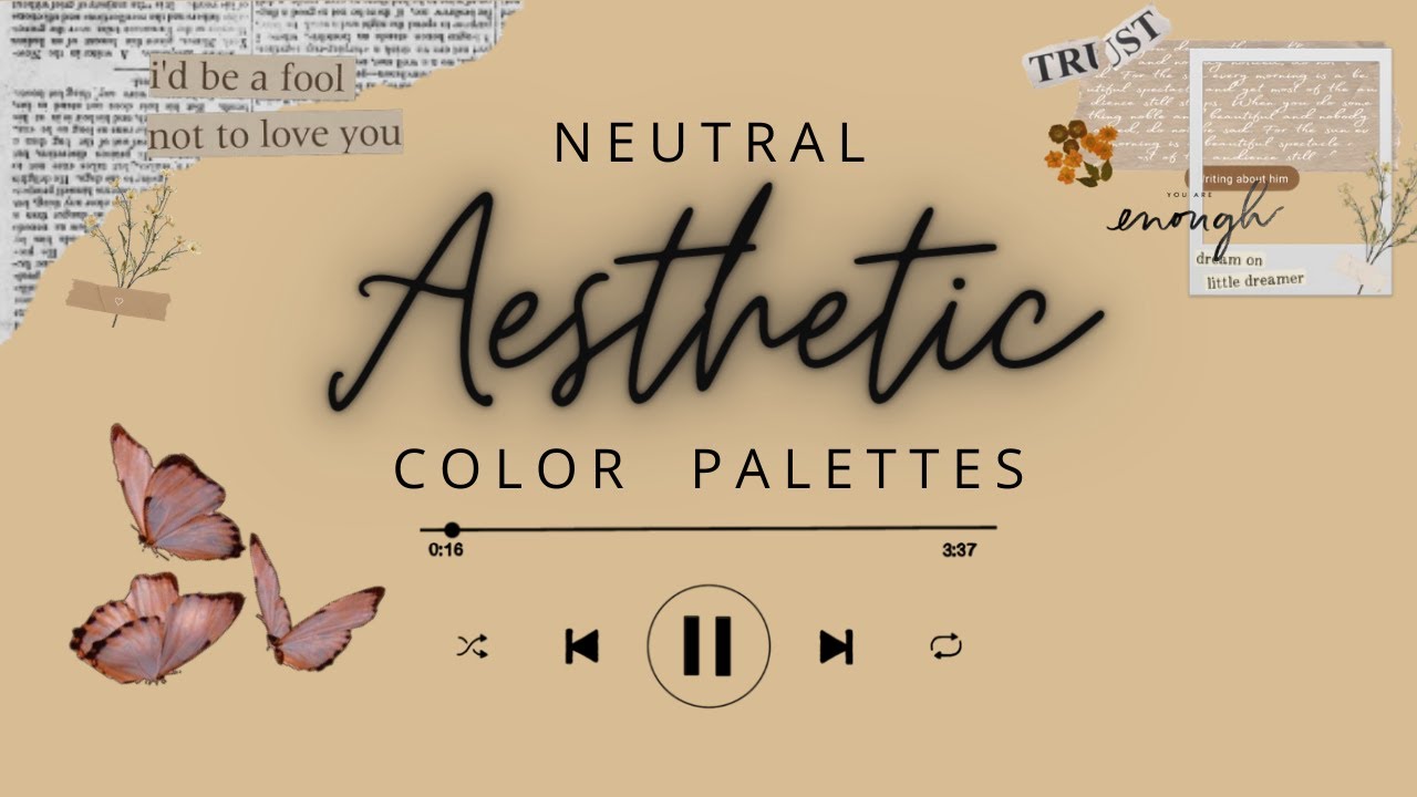 ✔ AESTHETIC COLOR PALETTES | NEUTRAL EDITION | ~♡