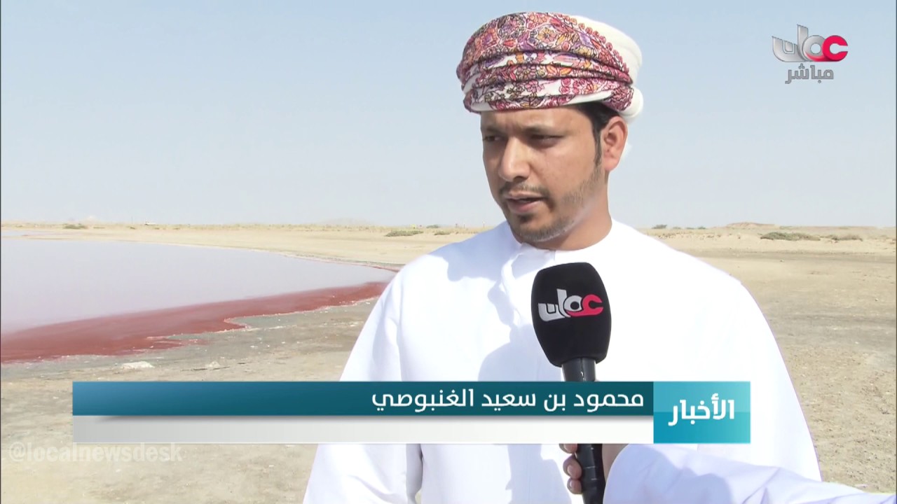 البحيرات الوردية بمنطقة السويح بولاية جعلان بني بوعلي مصدر غذاء للطيور المهاجرة
