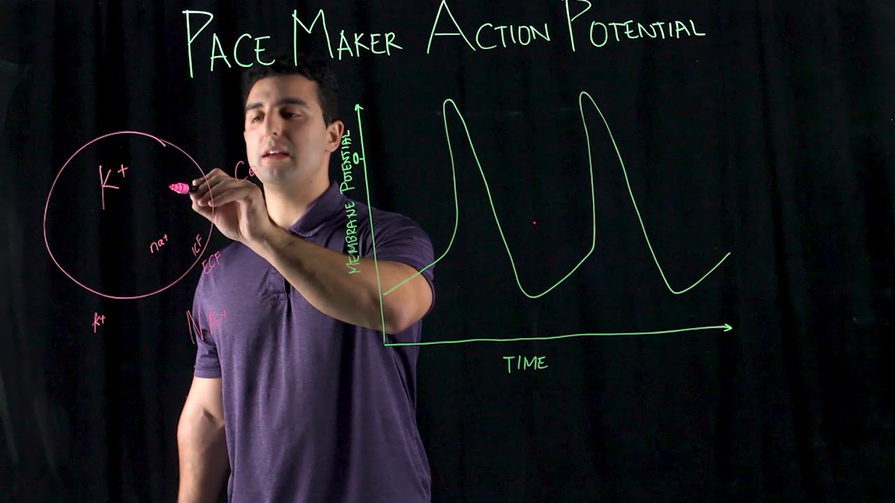 Pace Maker Action Potential