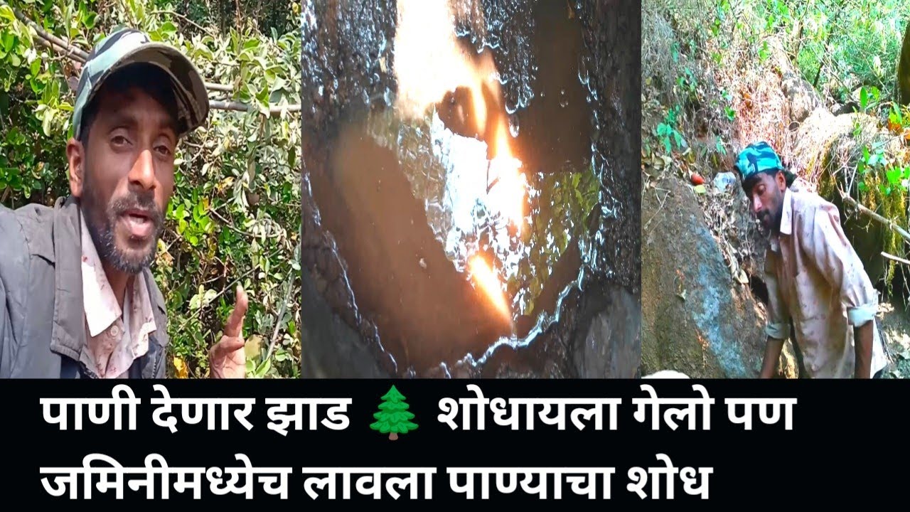 पाणी देणार झाड 🌲 शोधायला गेलो पण जमिनीमध्येच लावला पाण्याचा शोध 