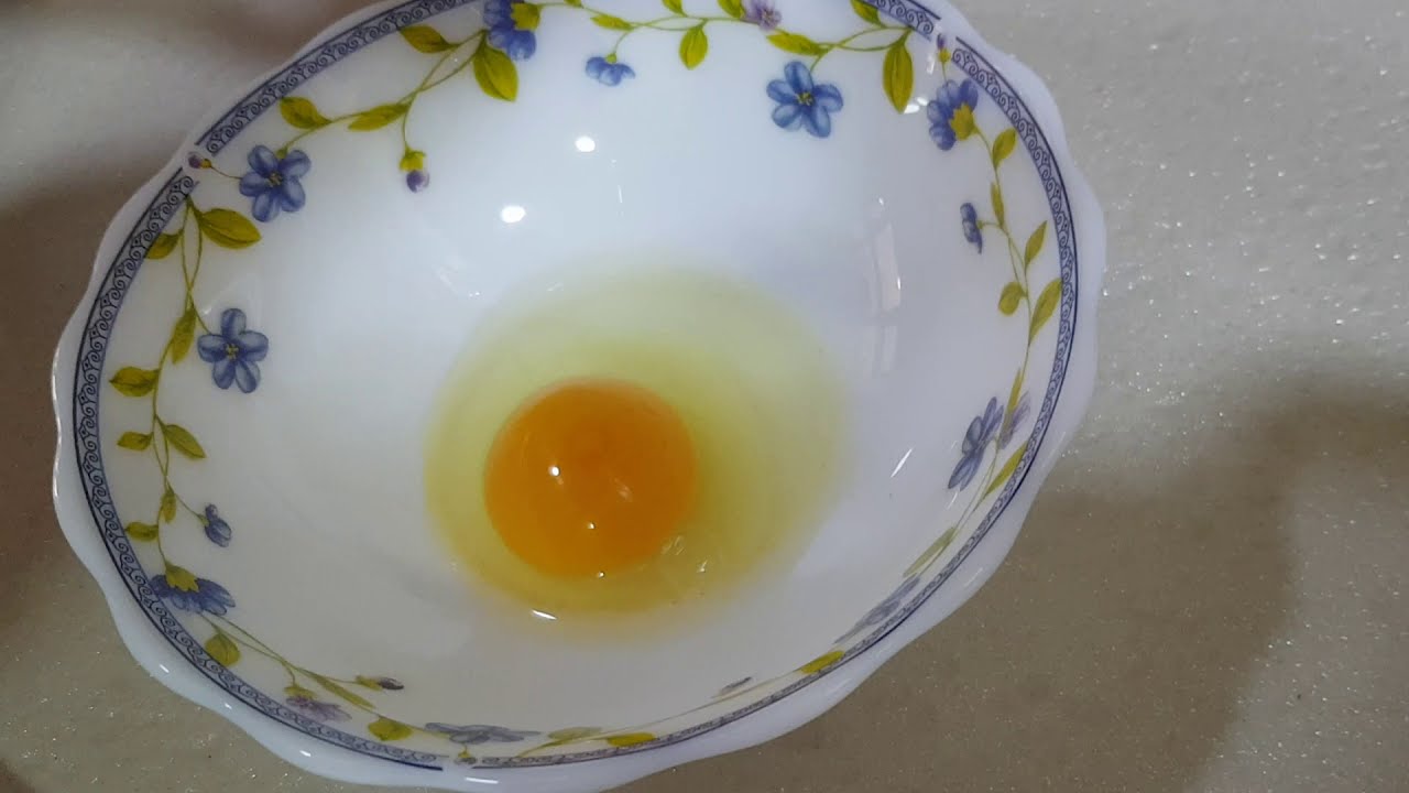 Dark Brahma Egg Sperm (Where is the Sperm?)🐣🐣🐣