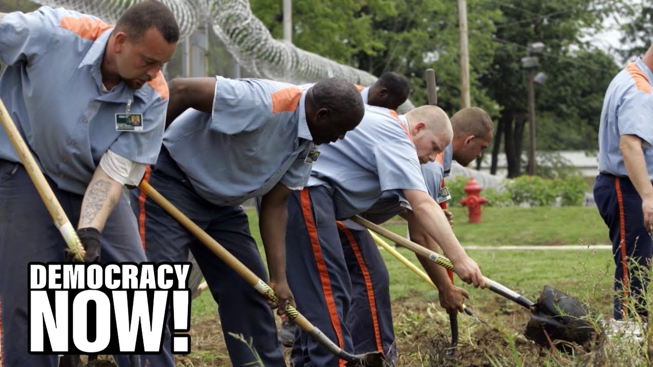 How the “Abolition Amendment” Would End Constitutional Loophole That Allows Forced Labor in Prisons