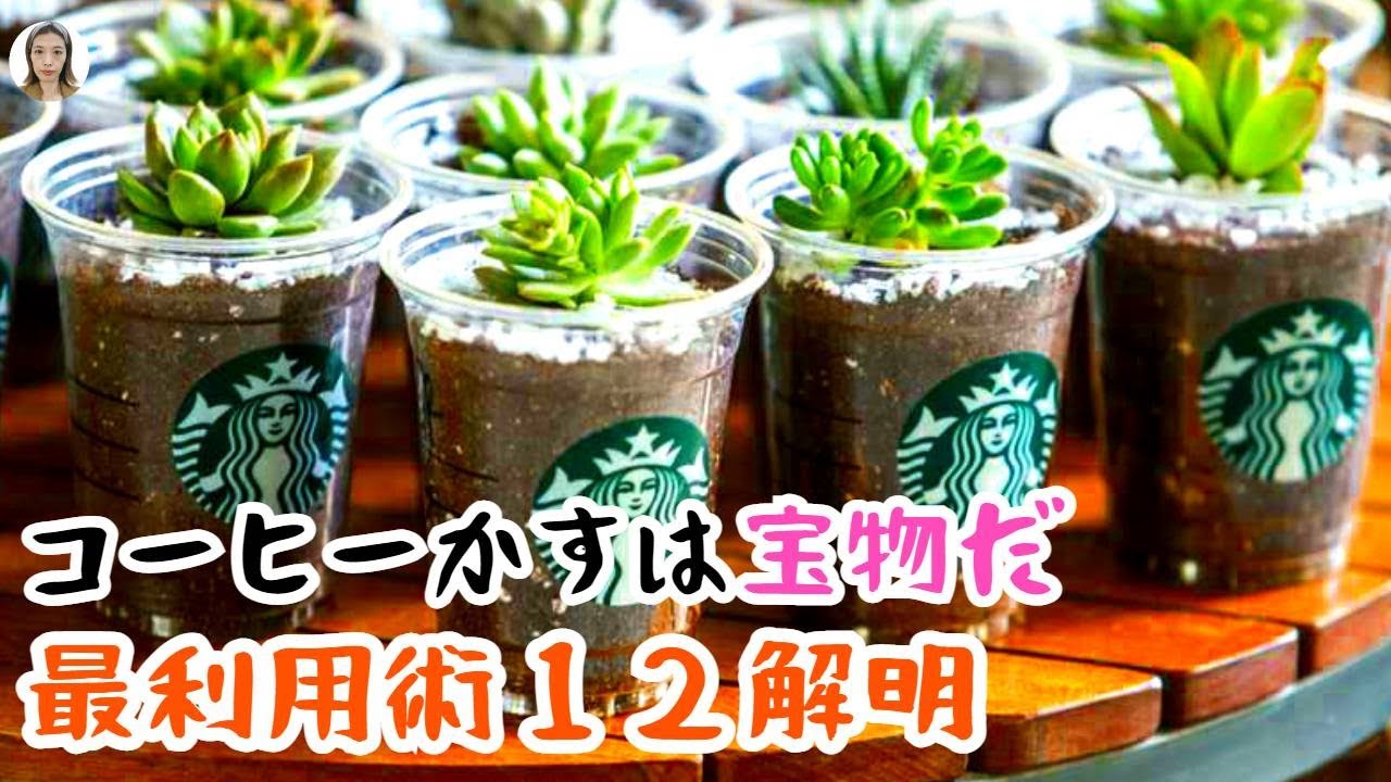 捨てないで！コーヒーカスはまだまだ使えるよ、再利用の方法を12個を一挙放送、ゴミから宝物へ|花子
