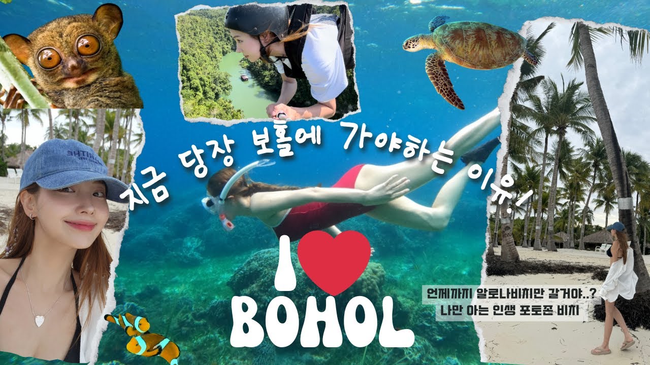 🌴 보홀 여행 4일 완벽 코스! 모르면 손해 볼 꿀팁 대방출 🇵🇭