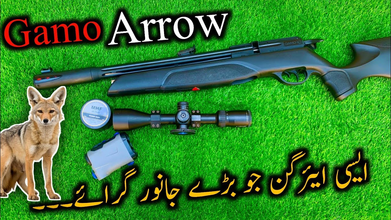 Gamo Arrow .22 Cal PCP Airgun|No Regultor PCP Airgun|Full Details In Hindi|AirHunter PK