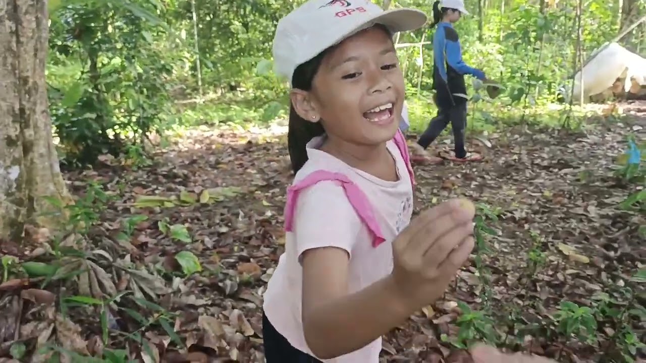 Aktiviti Di Kebun Buah/Kutip Buah Durian,Buah Lumuk Dan Cari Sayur-sayuran Fresh Di Kebun